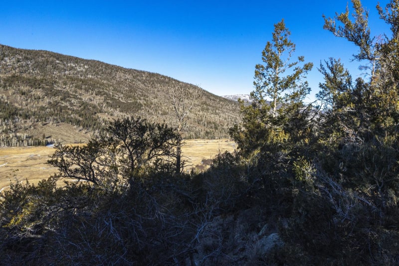 Danish Meadows Trail