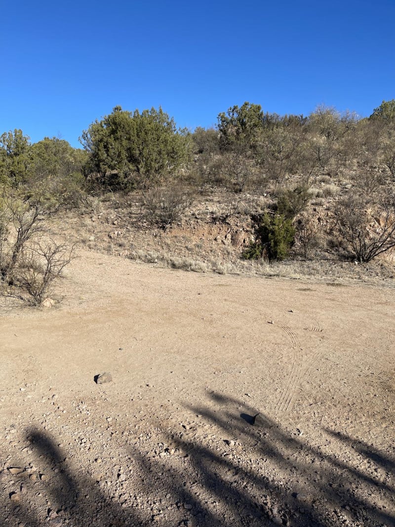 Oak Tree Wash Trail