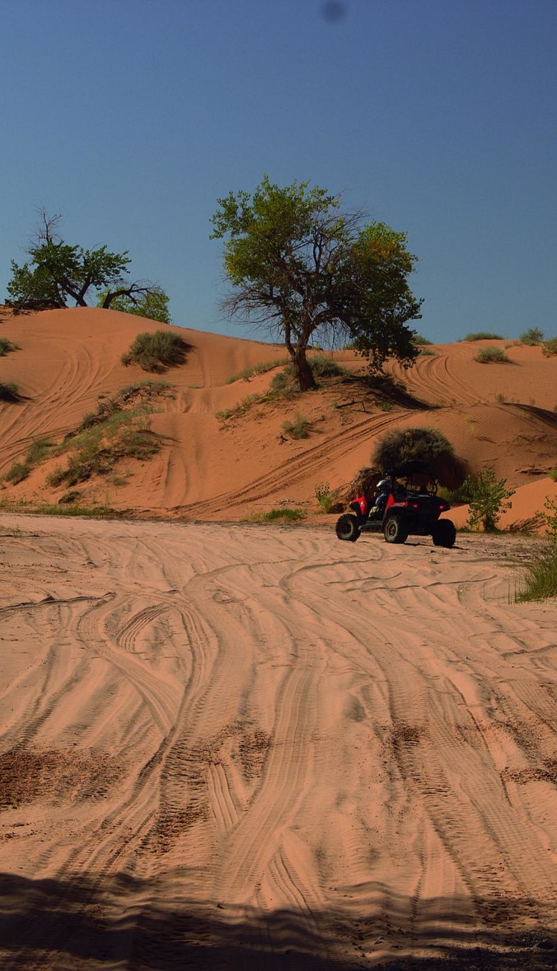White Wash Sand Dunes