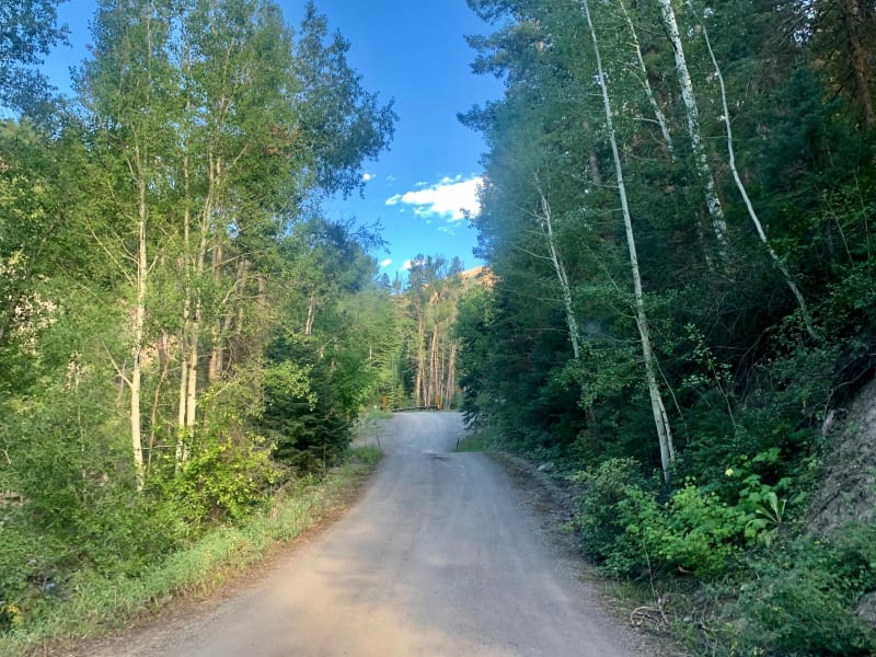 Cty Rd 14. – Dexter Creek Rd
