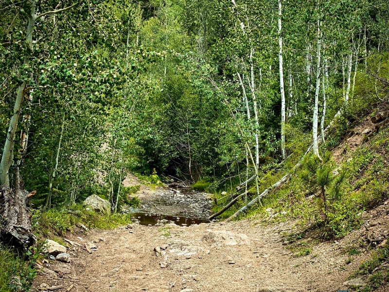 Baldy Trail