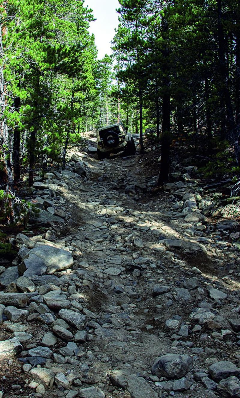 Pickle Gulch