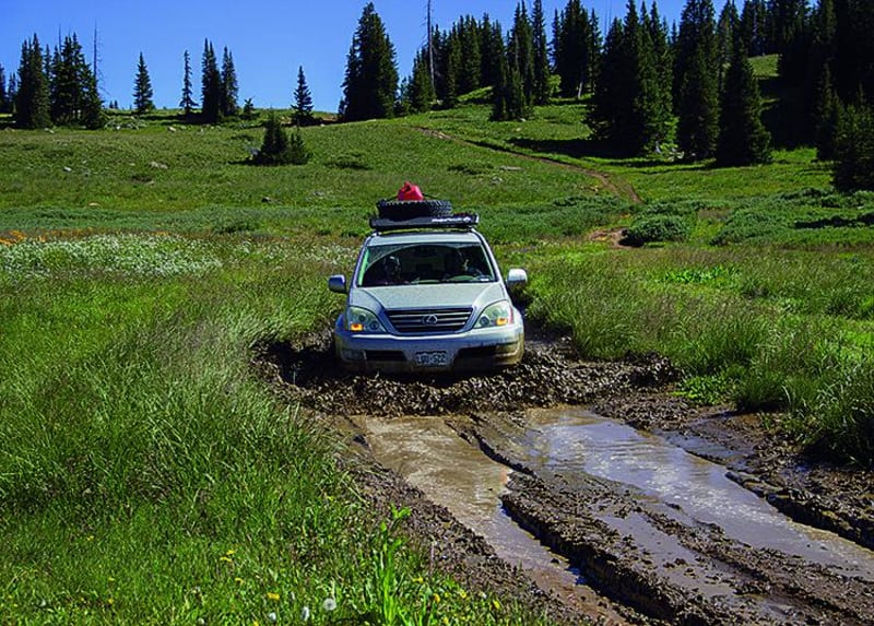 Grizzly Jeep Trail