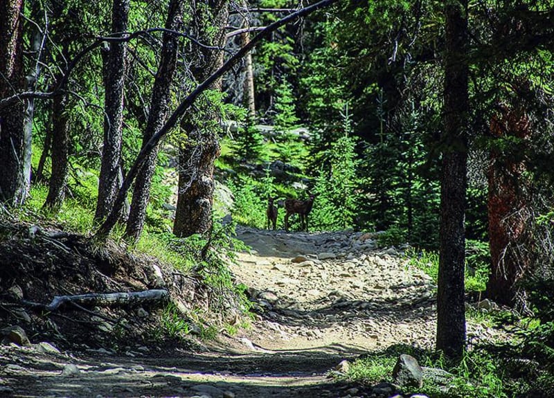 Tellurium Creek