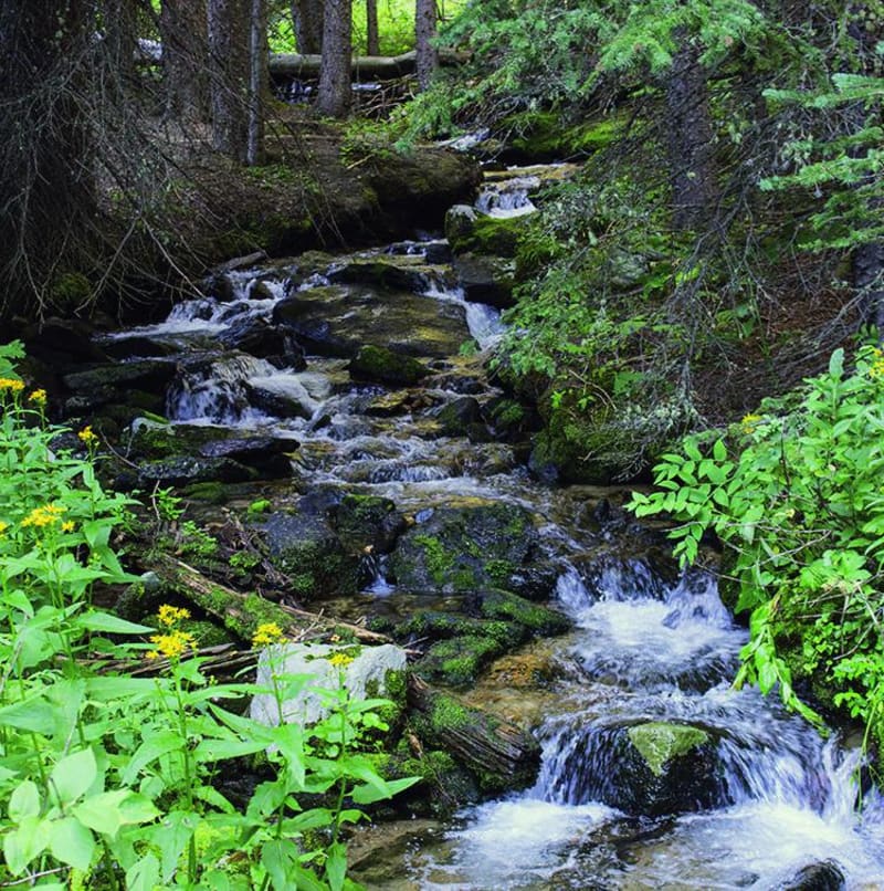 Rock Creek