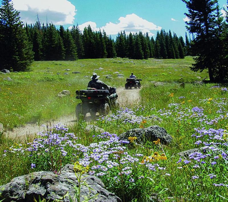 Deadhorse Loop