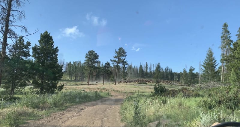 McAfee Rd.