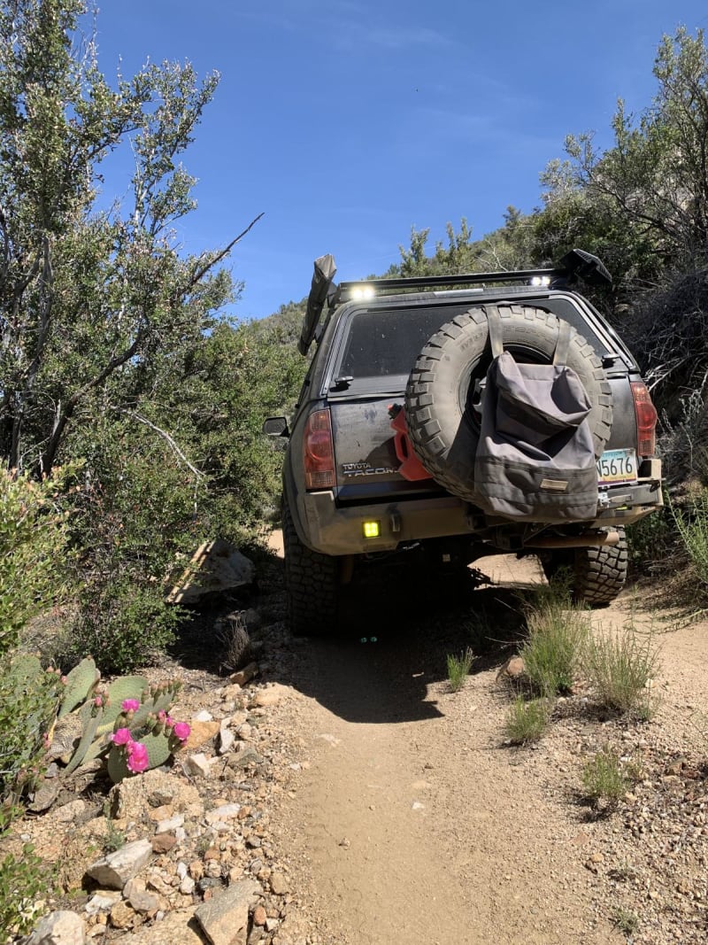 Brutal run to wickiup