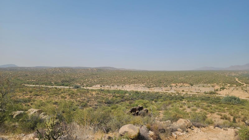 Desert Runners: Boulders to Box Canyon