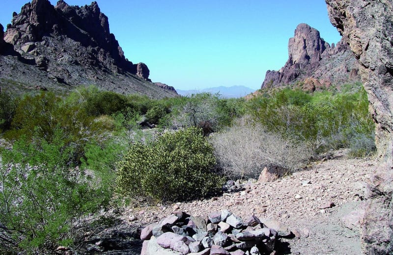 Kofa Queen Canyon