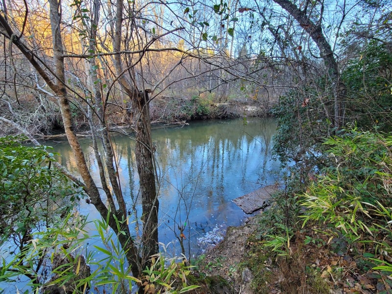 Georgia WMA: Dawson Forest