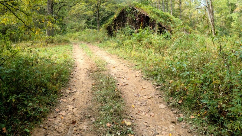 Cowen Creek