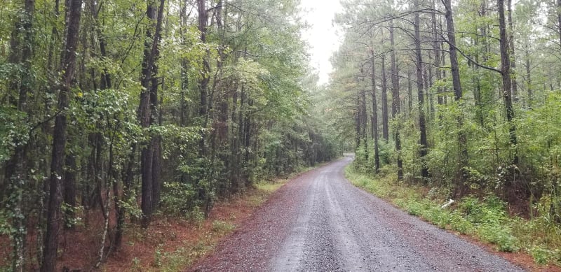 815 Road, Kisatchie NF