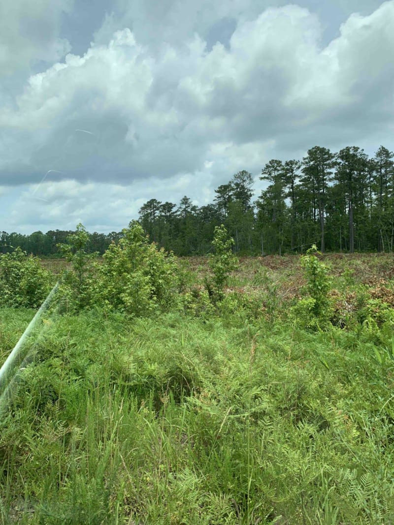 Bent Creek Trail, North Carolina: Off-Road Map, Guide, and Tips | onX