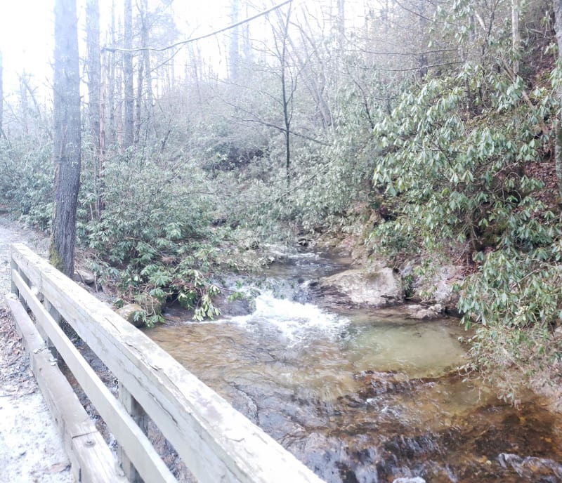 Green River Rd, North Carolina: Off-Road Map, Guide, and Tips | onX Offroad
