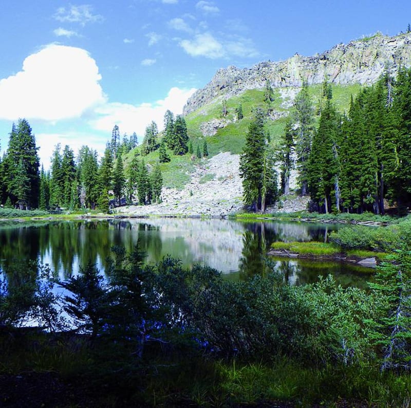 Ellis Peak