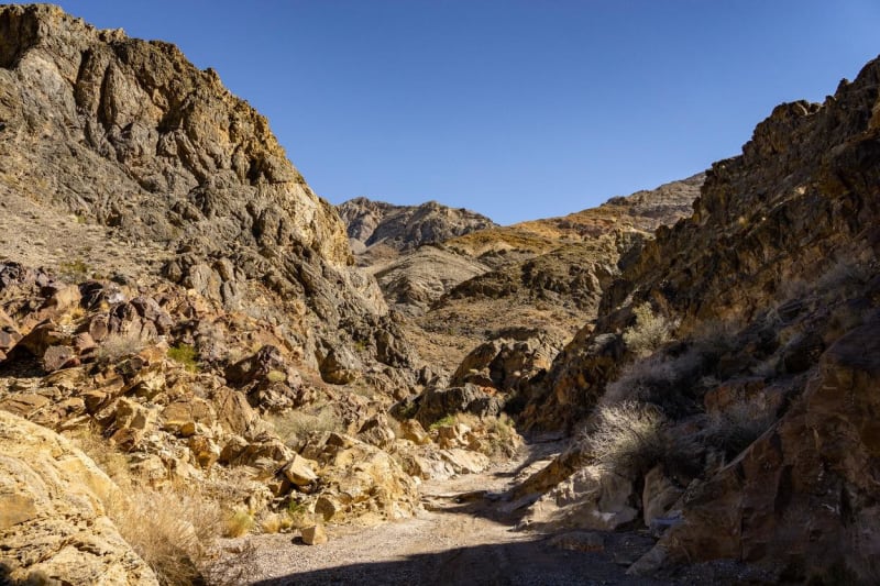 Steele Pass