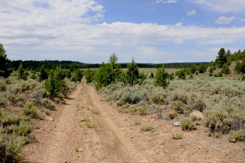Gravel Ridge