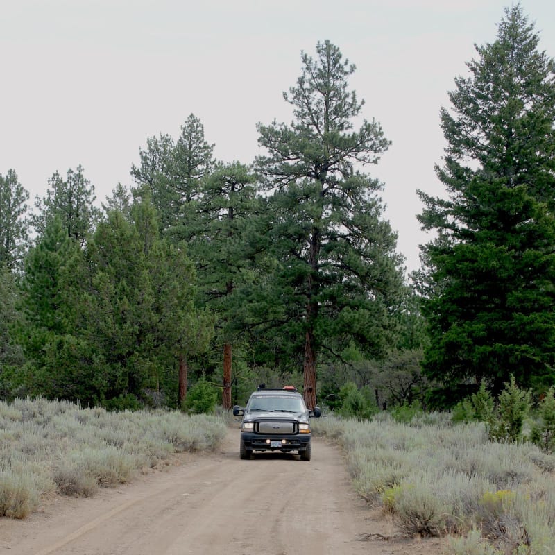 Lost Creek