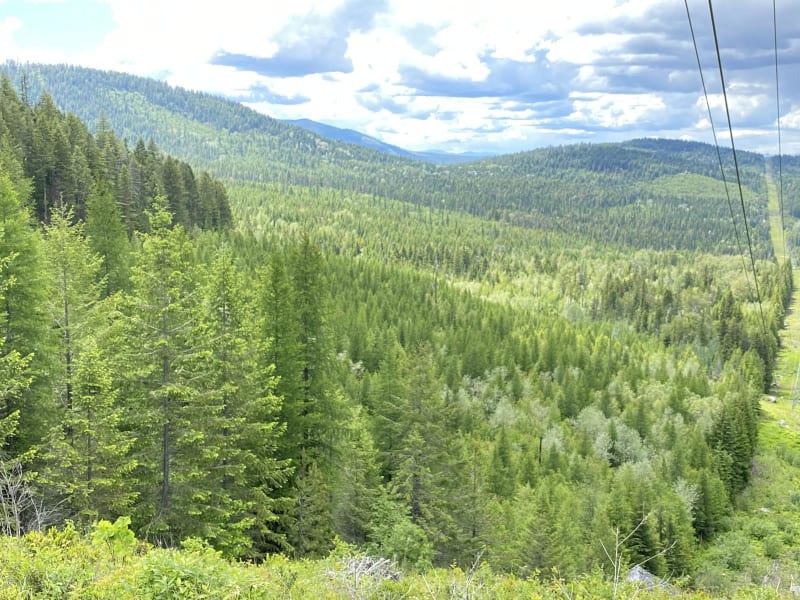 Smackout Pass