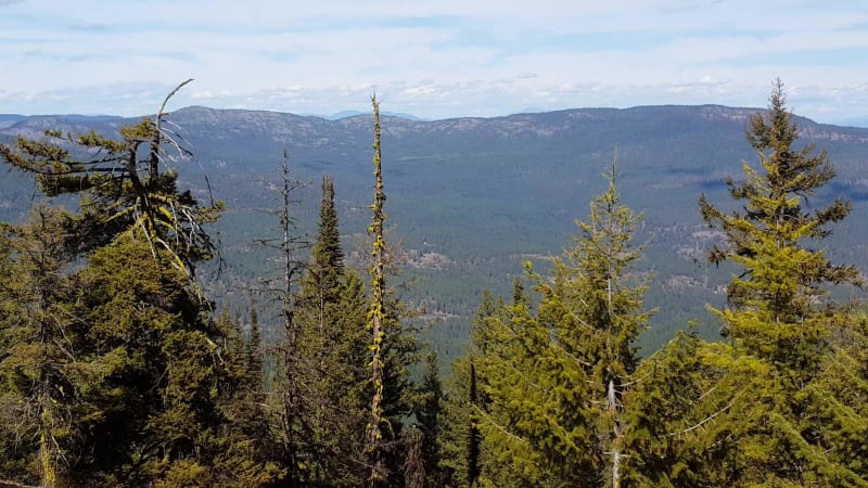 South Huckleberry2 Trail