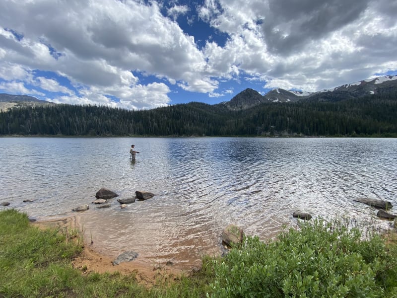 North Meadow – McKelvey