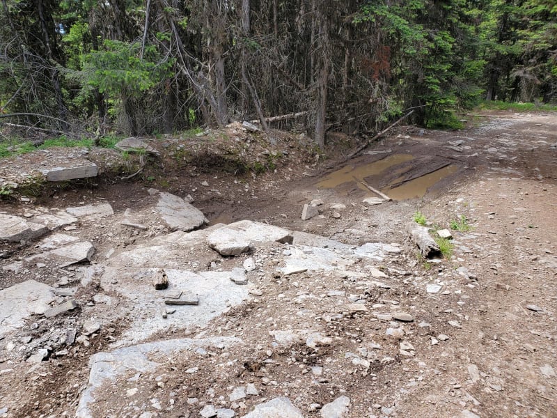 Blacktail Wild Bill OHV