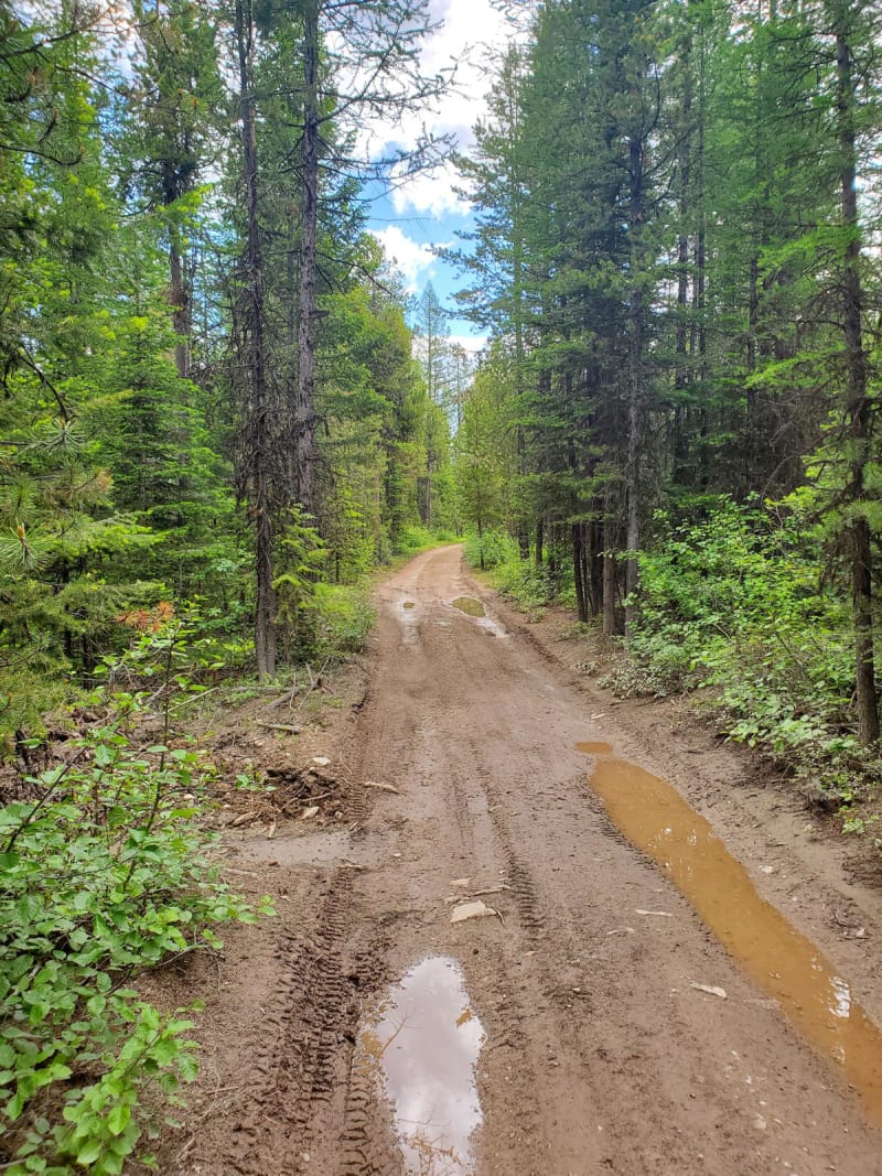 Wild Bill Creek/Firewood Trail to Truman Creek