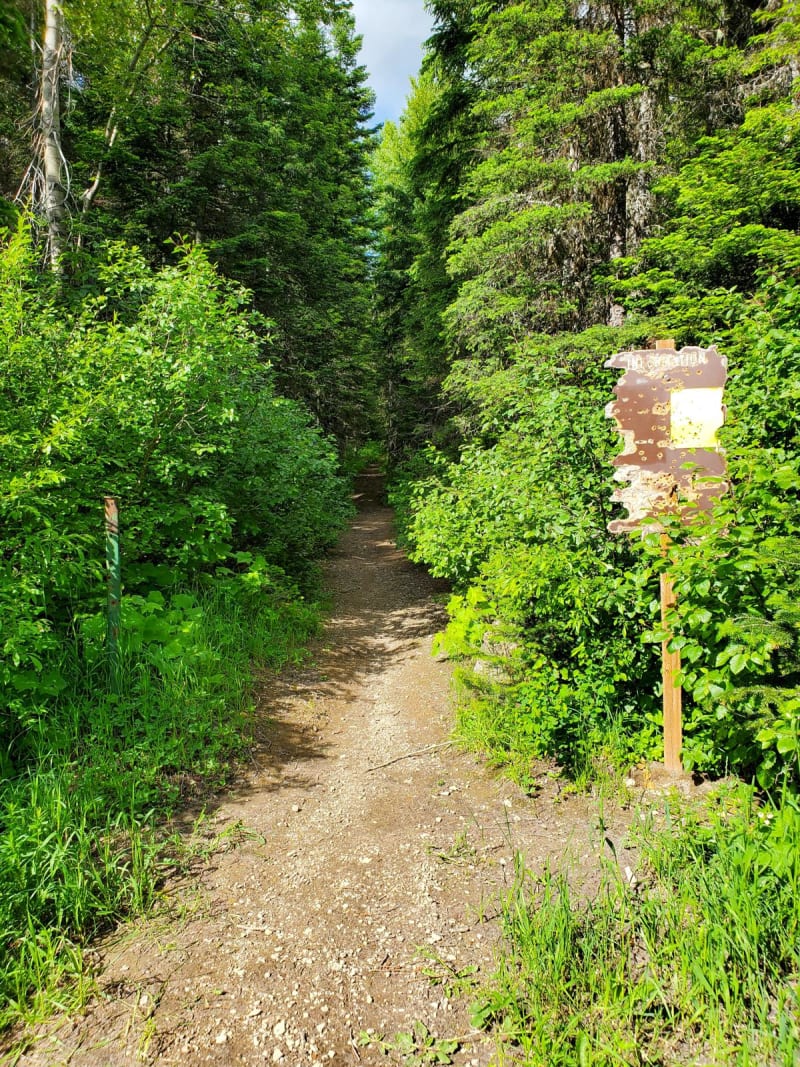 Peter’s Ridge Road