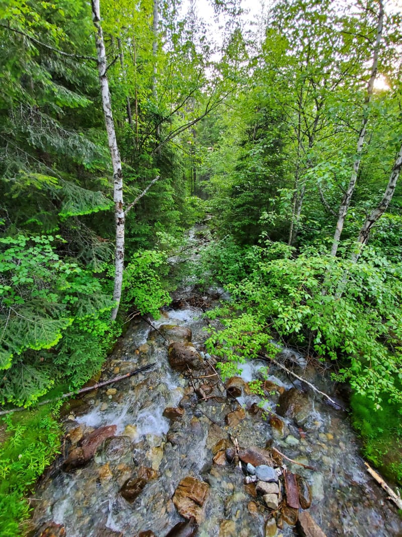 Trail Creek