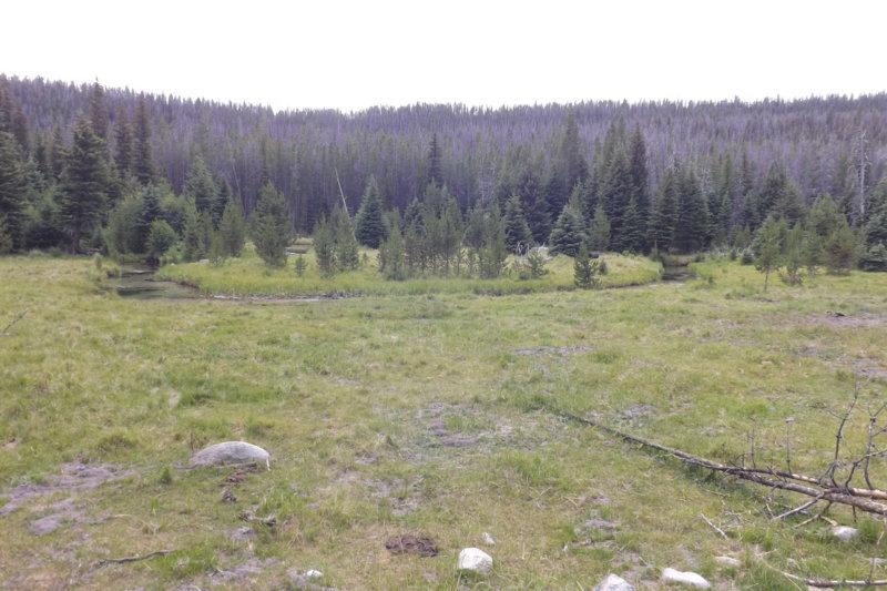 Caruthers Lake