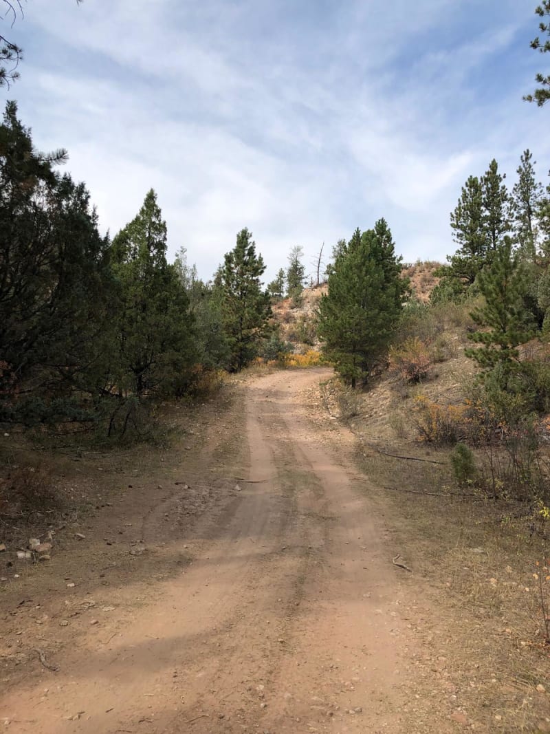 Roby Canyon(FS 264)