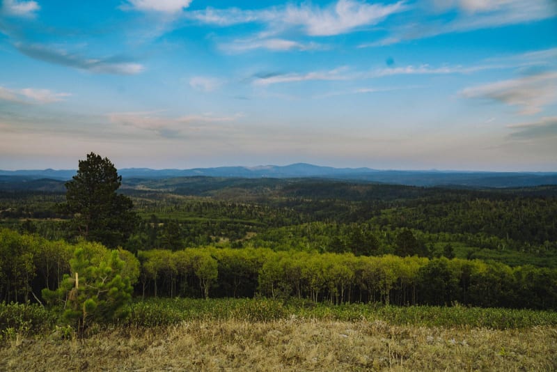 Boundary Gulch