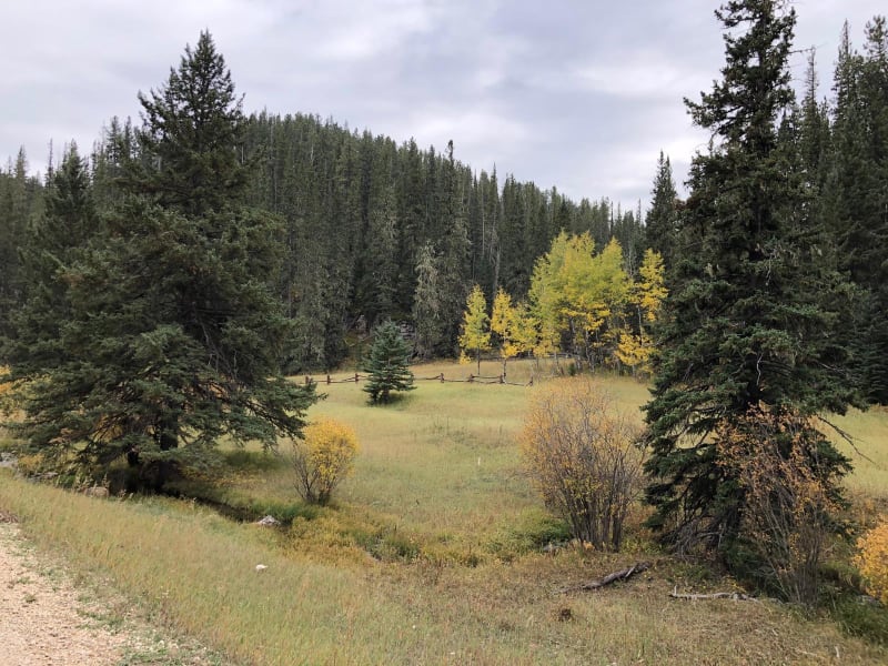 Beaver Creek Road(FS 111)