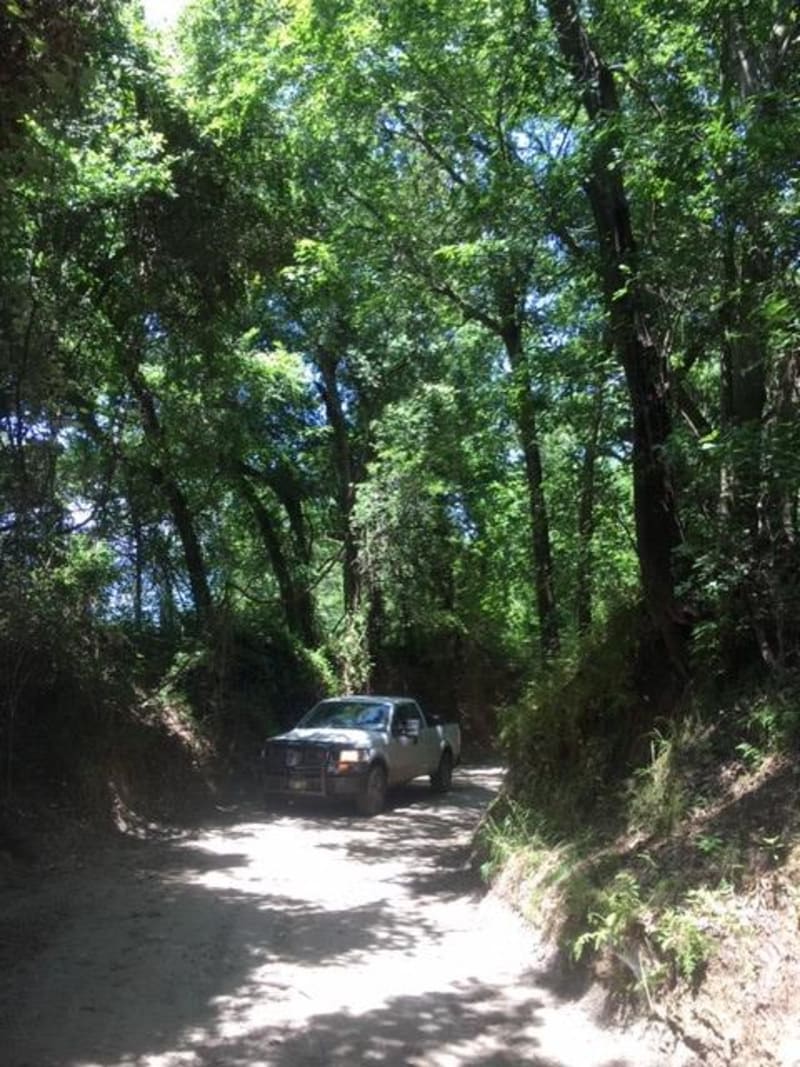 Navasota Headwaters