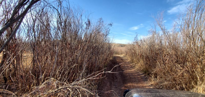 Hidden Campsite Trail