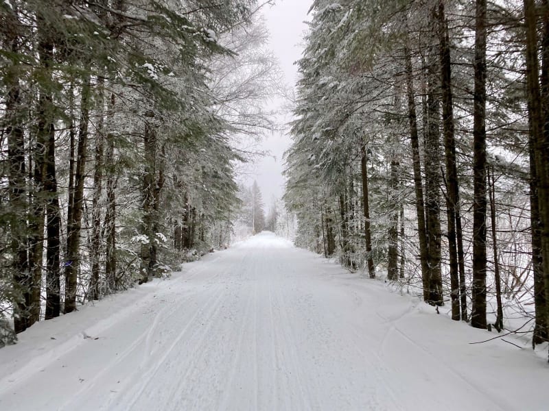 Gandy Dancer Trail