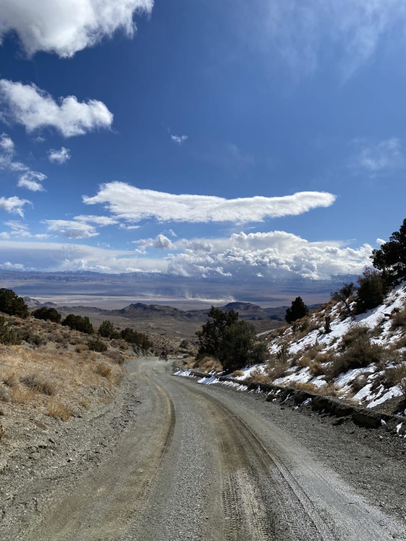 Coyote Rd.