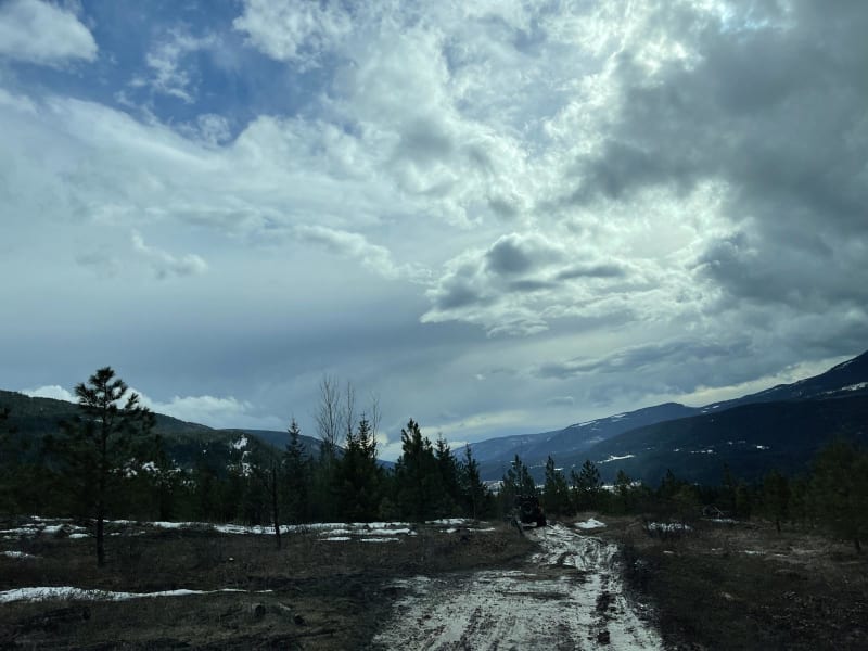 Mt. Ida Lookout