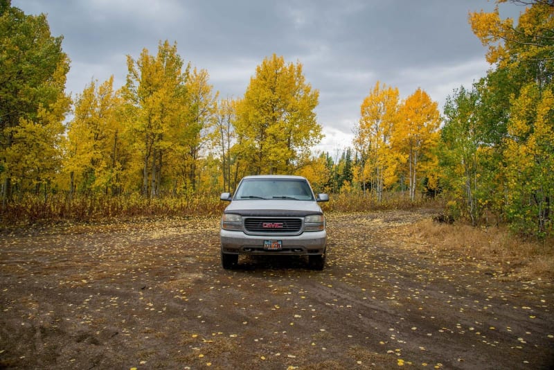 Logger Springs Road