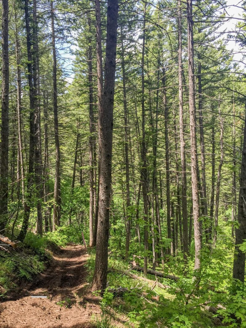 Boundary Trail