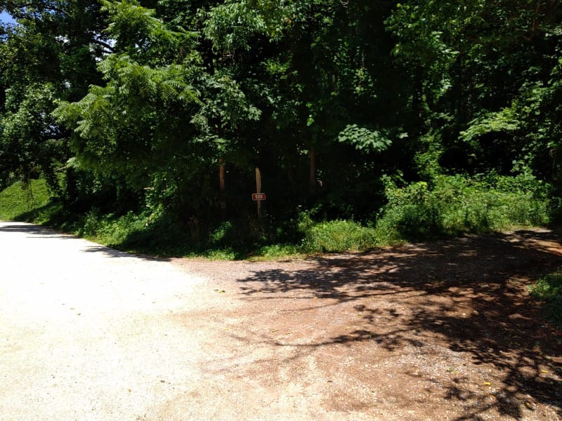 Cow Camp Road