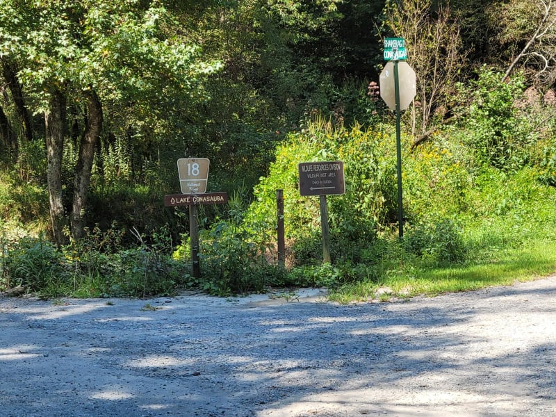 Cohutta Wilderness