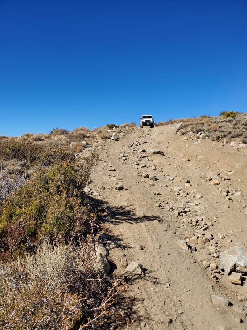 Holy Climber