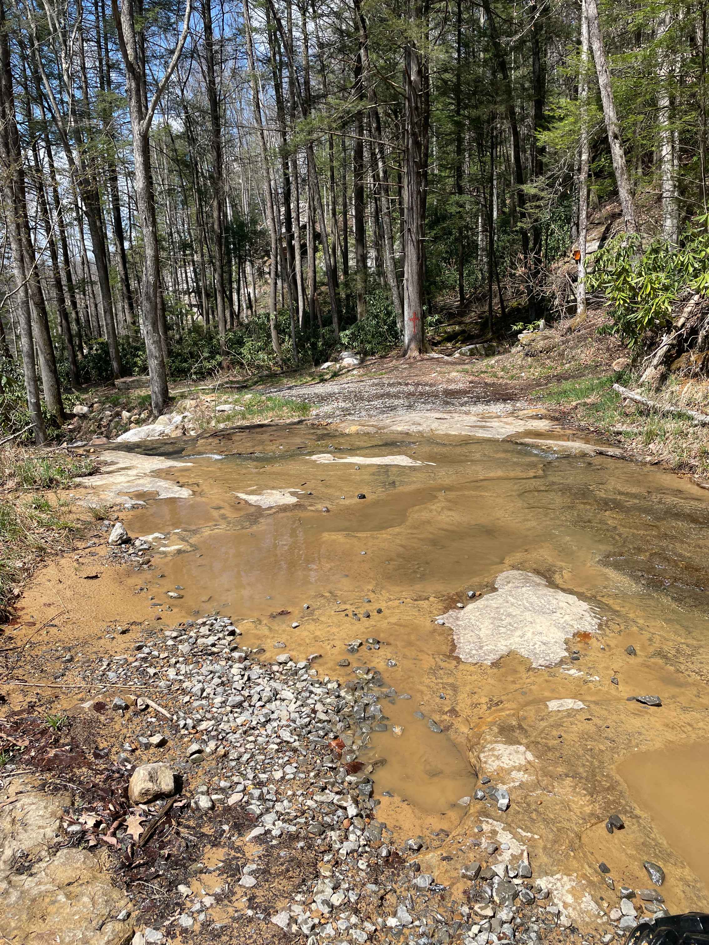 Meadow/Gauley Access Trail