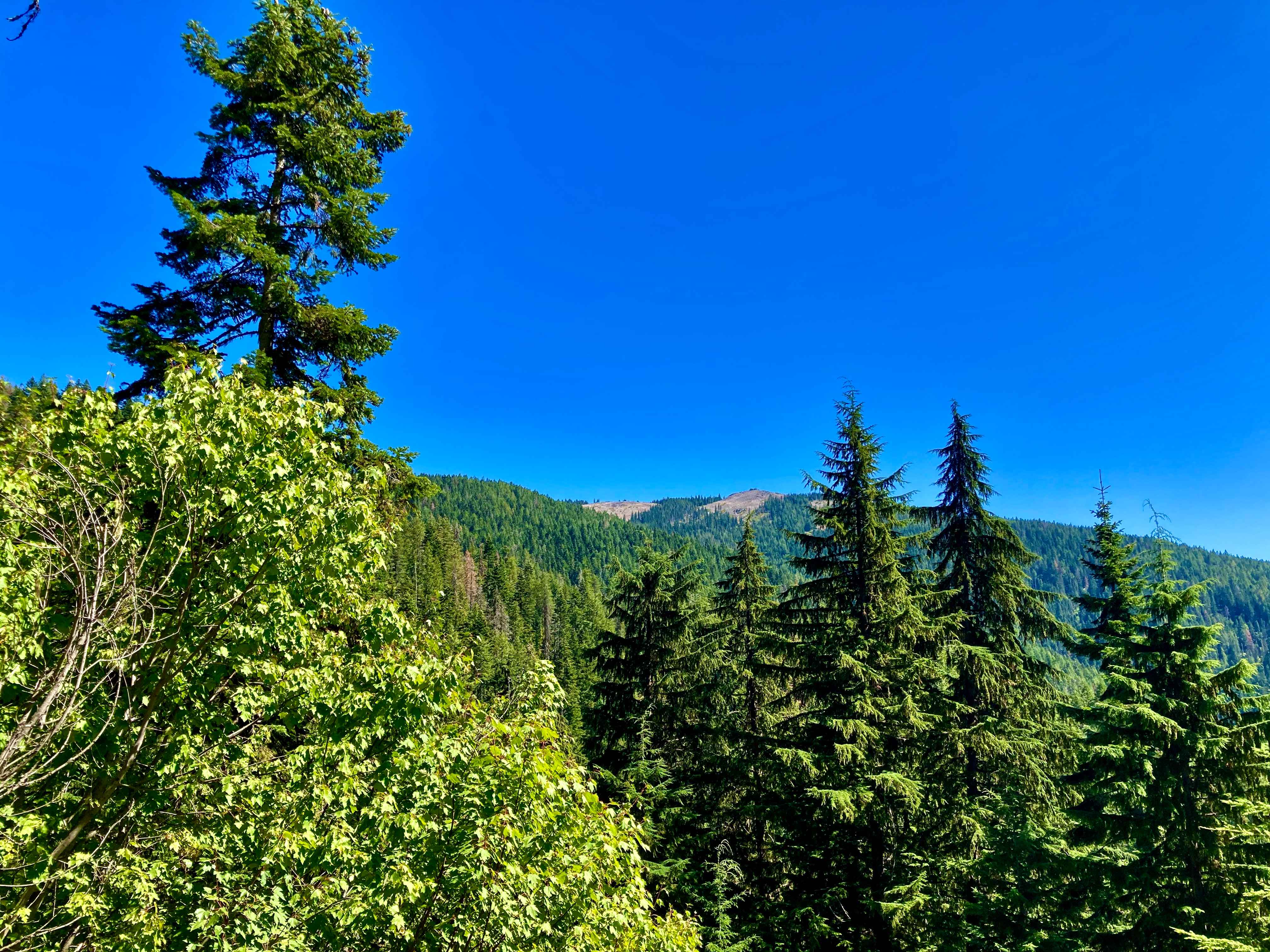 CDA-Hayden Lake View Route