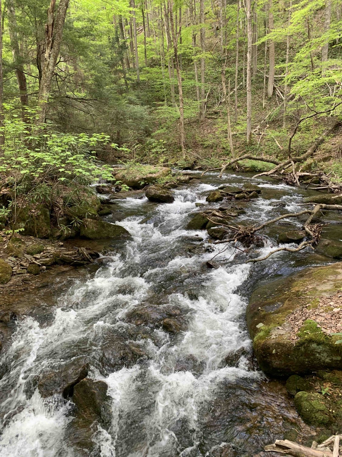 Table Falls Loop