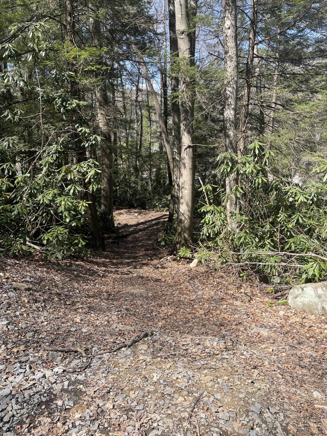 Meadow & Gauley Rivers Access Trail