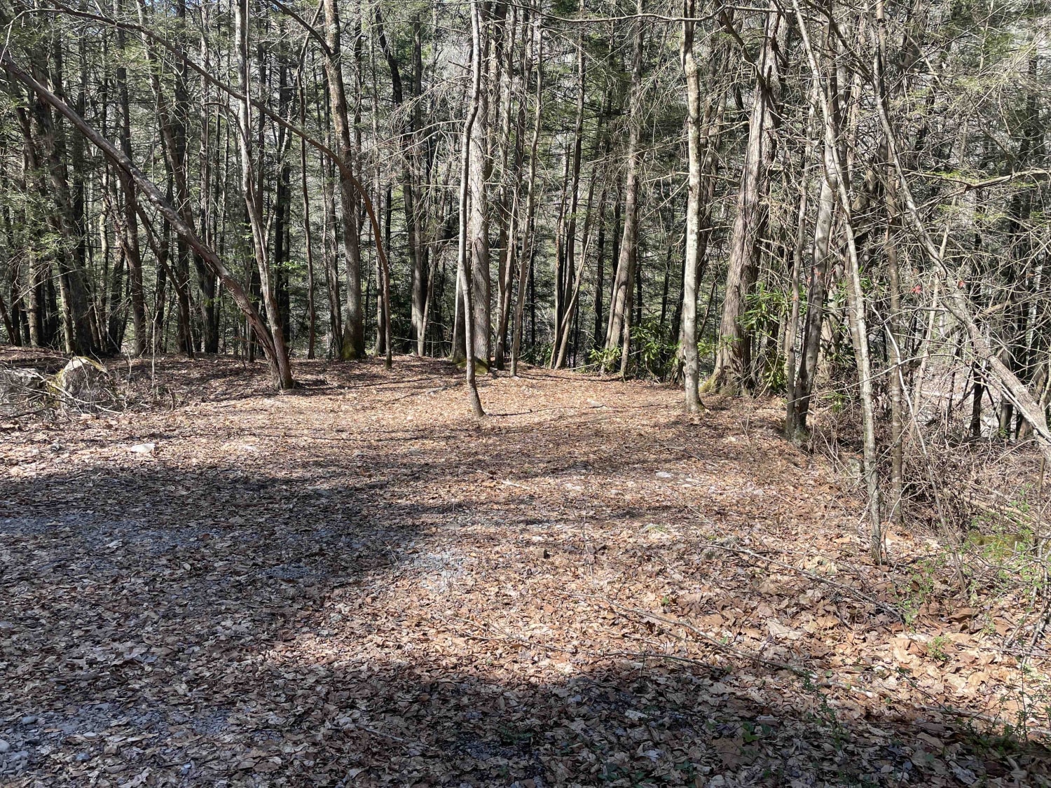 Meadow & Gauley Rivers Access Trail