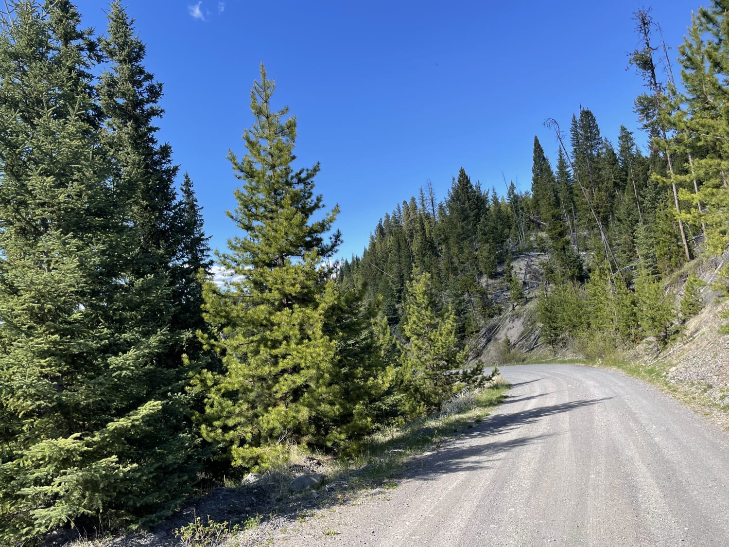 Greenstone Mtn Lookout to Tunkwa Lake Rd